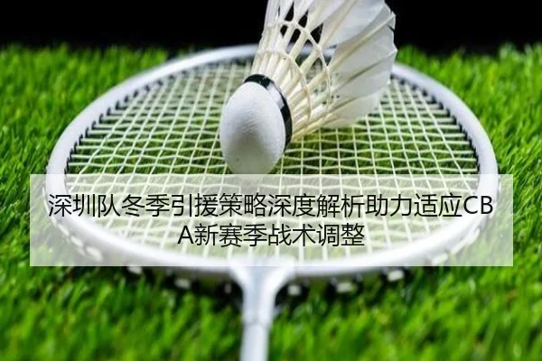 深圳队冬季引援策略深度解析助力适应CBA新赛季战术调整